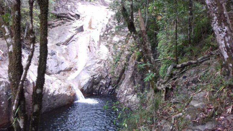 aurelean cascades finch hatton gorge queensland 768x432