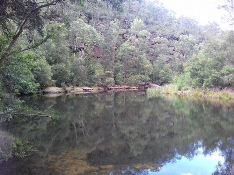 blue pool blue mountains national park new south wales 768x576