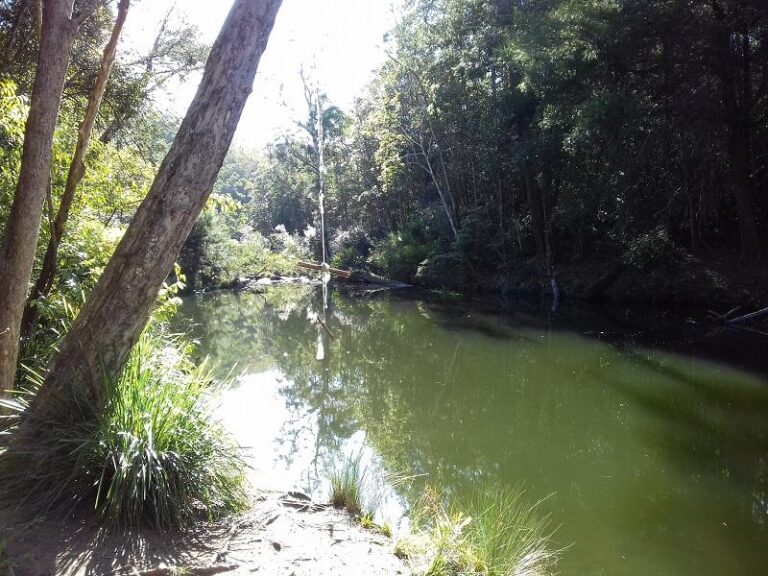 broadwater swimming hole daguilar national park queensland 768x576