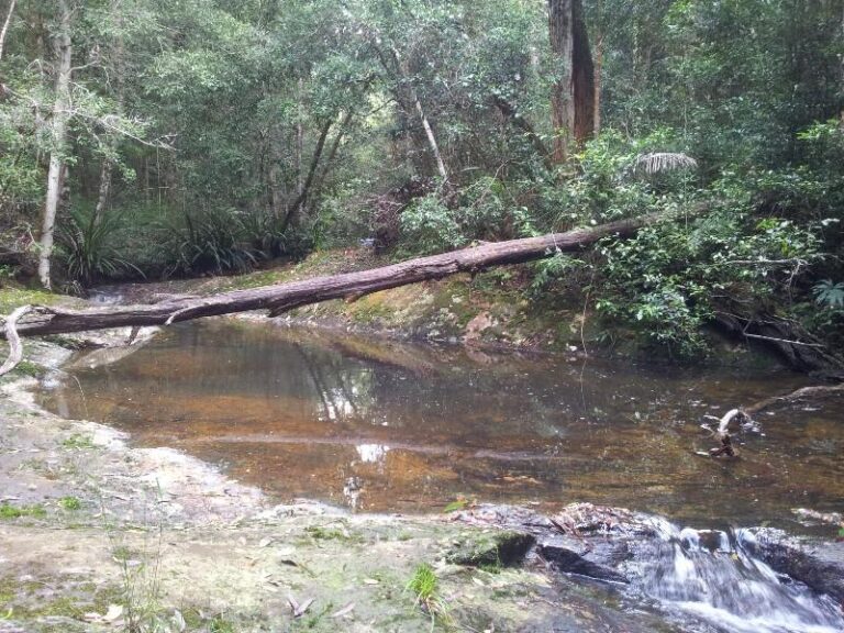 condong falls night cap national park new south wales 768x576
