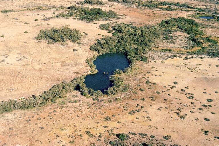 dalhousie springs witjira national park south australia 768x512