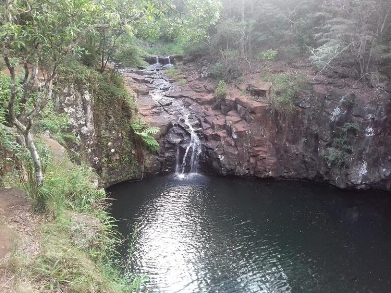 dalwood falls alstonville new south wales 768x576