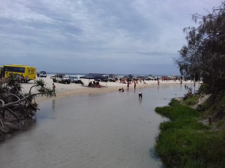 eli creek fraser island queensland 2 768x576