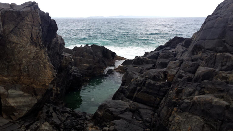 fairy pools noosa national park queensland 768x432