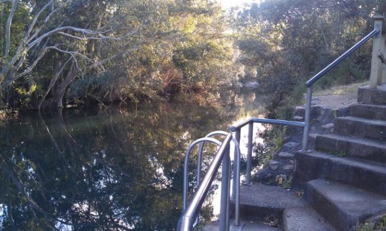 five mile creek cardwell state forest queensland 768x459