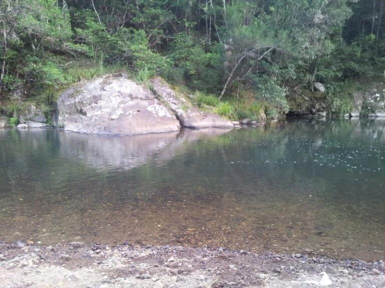 forest park swimming hole numinbah valley queensland 768x576