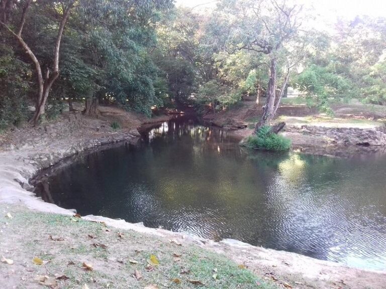 freshwater creek swimming hole freshwater queensland 768x576