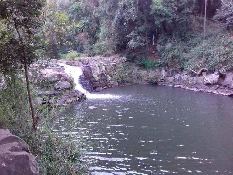 gardners falls maleny queensland 768x576