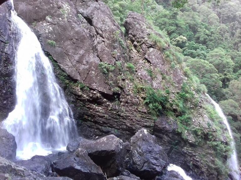 gleniffer falls dorrigo national park new south wales 768x576