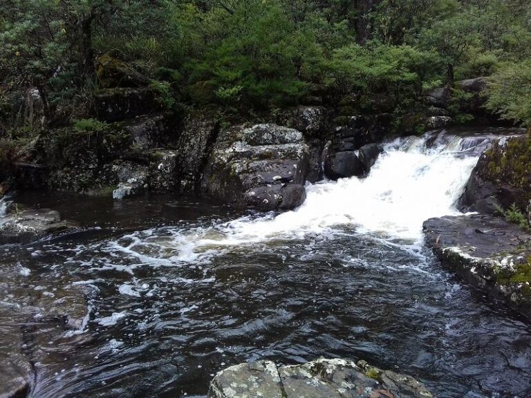gloucester falls barrington tops national park new south wales 2 768x576