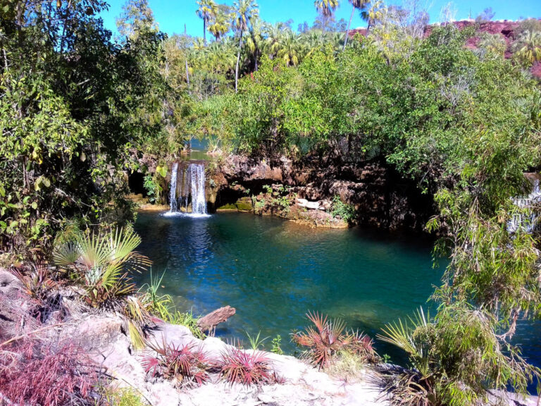 indarri falls lawn hill national park queensland 768x576
