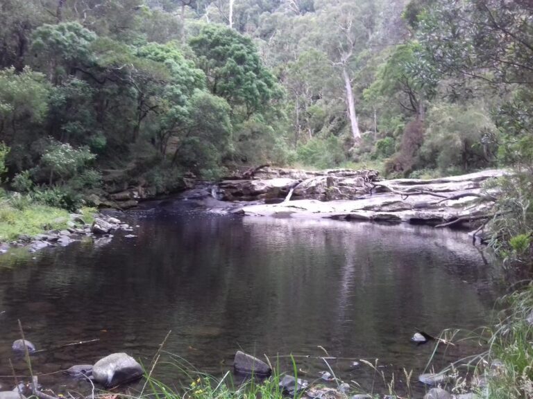 jebbs pool lorne victoria 768x576