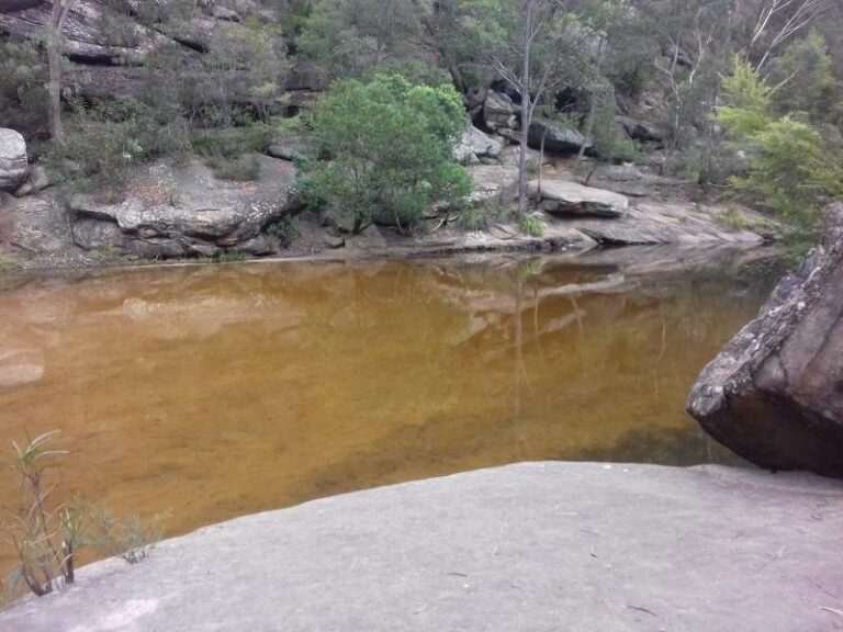 jellybean pool blue mountains national park new south wales 768x576