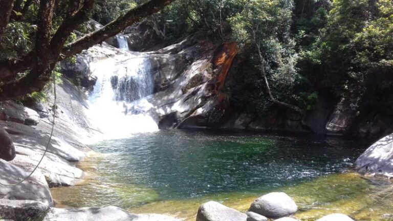 josephine falls wooroonooran national park queensland 1 768x432