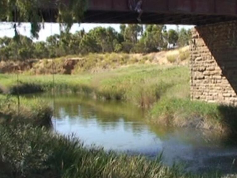 kapunda swimming hole kapunda south australia 1 768x575