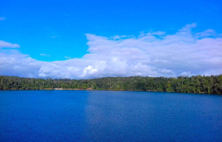 lake eacham crater lakes national park queensland 1 768x492