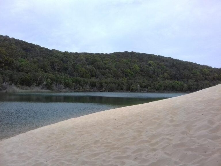 lake wabby fraser island queensland 3 768x576