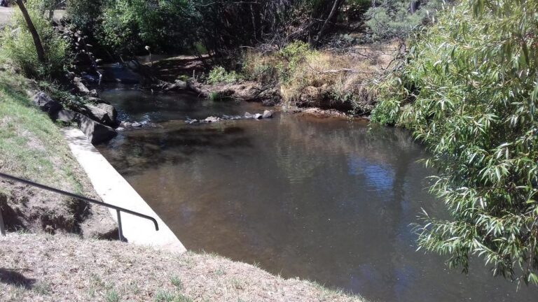 liffey river reserve bracknell tasmania 768x432