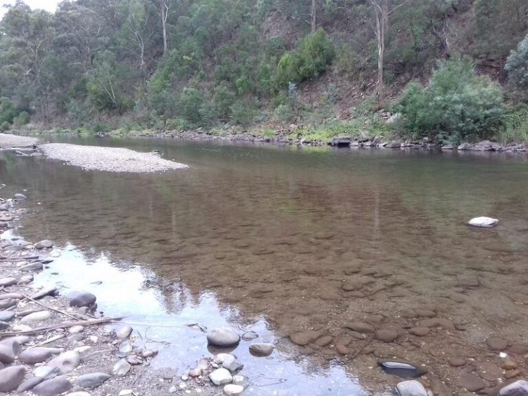macalister river cheynes bridge victoria 768x576