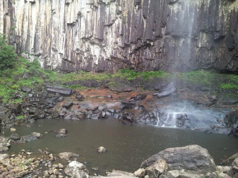minyon falls nightcap national park new south wales 768x576
