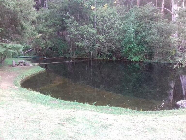 mirimbah swimming hole mount buller victoria 2 768x576