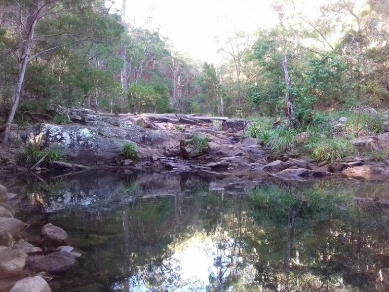 mothar mountain rock pools gympie queensland 768x576
