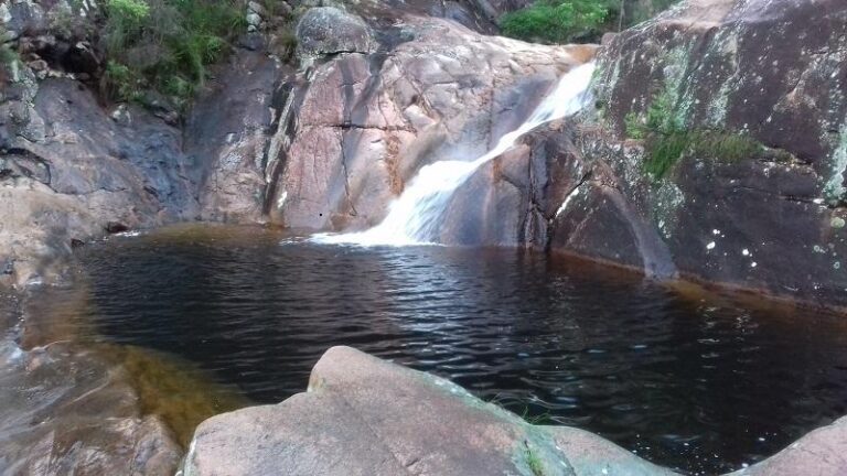 mumbulla creek falls bega new south wales 1 768x432