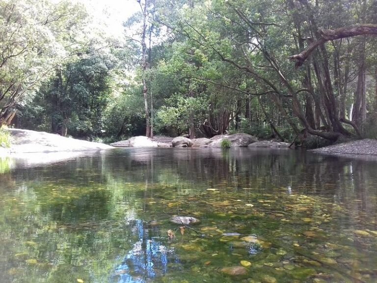 never never creek old bridge swimming hole promised land new south wales 768x576