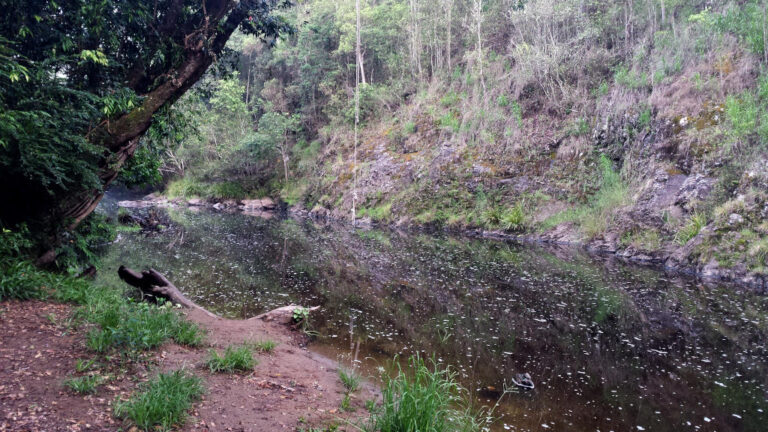 obi obi creek swimming hole obi obi queensland 768x432