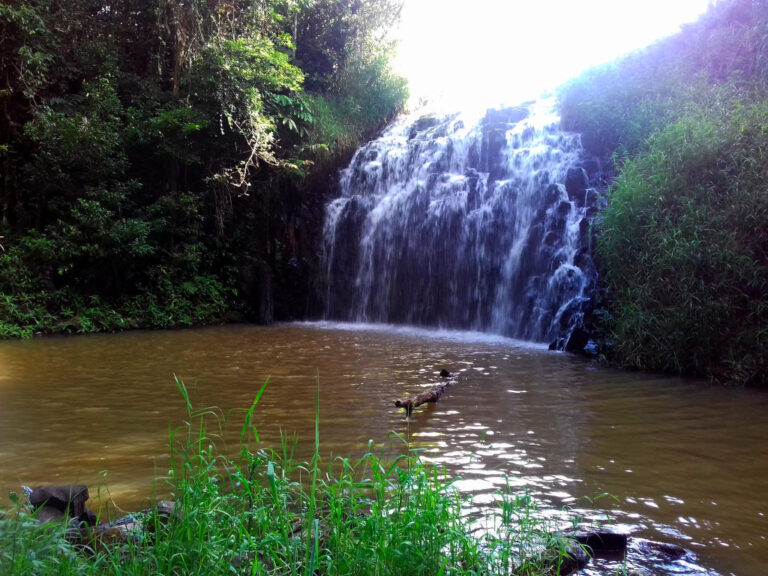 pepina falls millaa millaa queensland 768x576