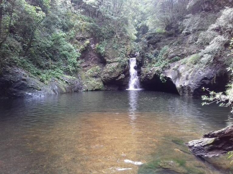 potoroo falls tapin tops national park new south wales 768x576