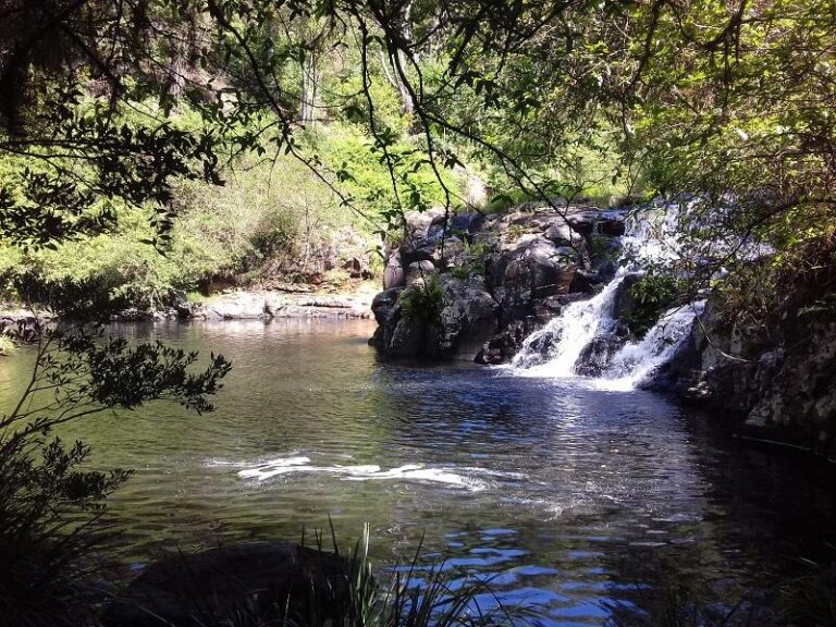 tehuti falls terania creek new south wales 768x576