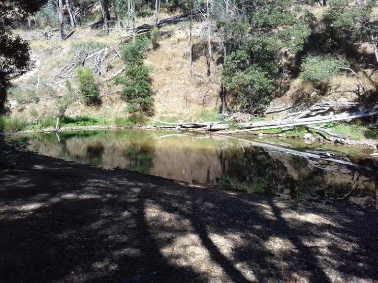tipperary spring daylesford victoria 1 768x576