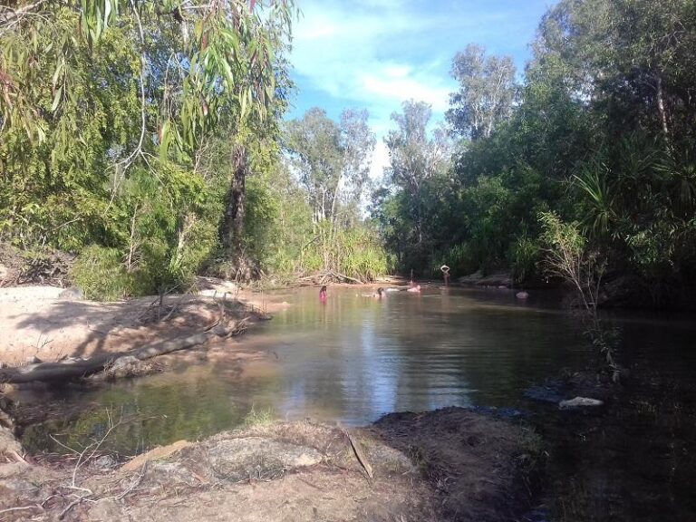 tjuwaliyn douglas hot springs douglas northern territory 1 768x576