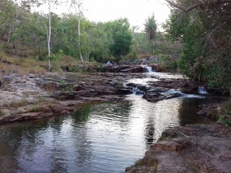 upper cascades litchfield national park northern territory 768x576