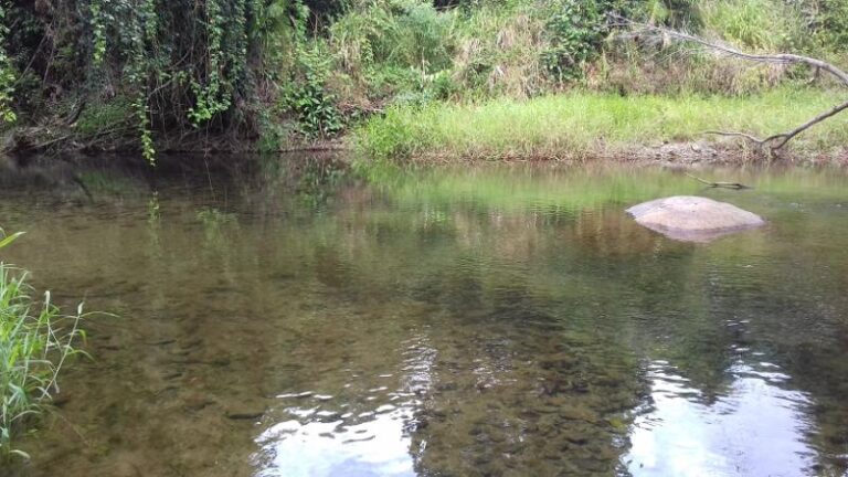 upper liverpool creek mena creek queensland 1 768x432