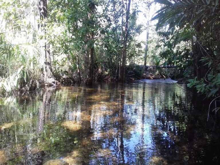 walker creek litchfield national park northern territory 768x576