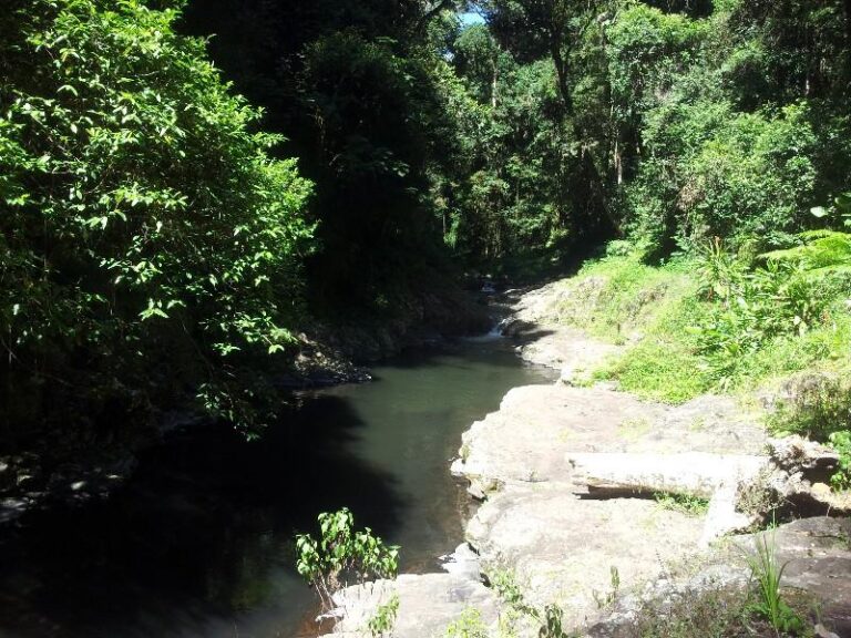 yerralahla blue pool lamington national park queensland 1 768x576