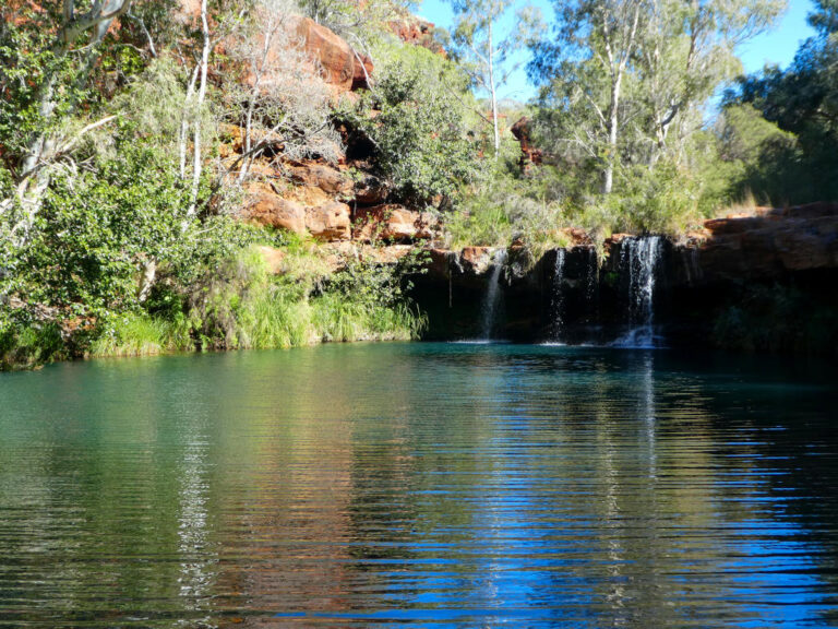 fern pool karijini national park western australia 768x576