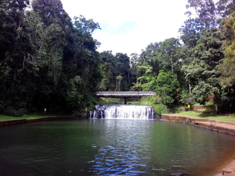 malanda falls malanda queensland 768x576