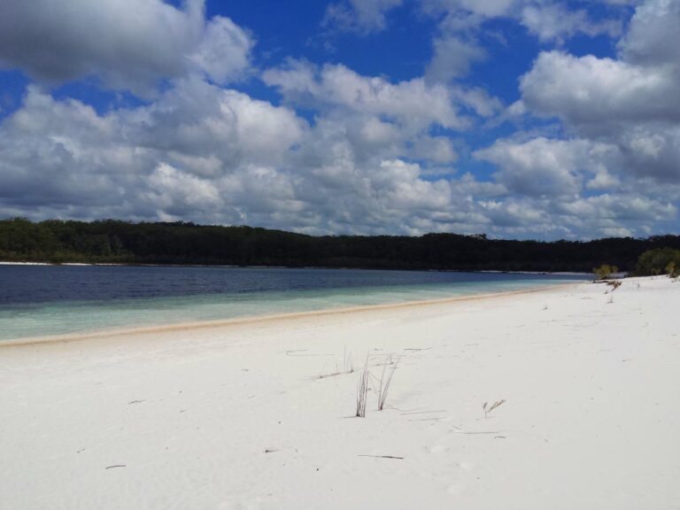 Lake McKenzie Fraser Island QLD 768x576