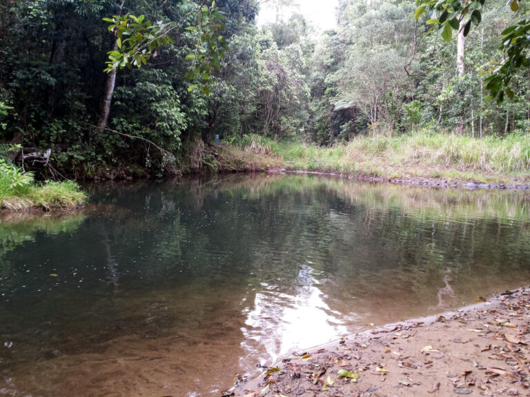 Bush Pool Wooroonooran National Park QLD 01 768x576