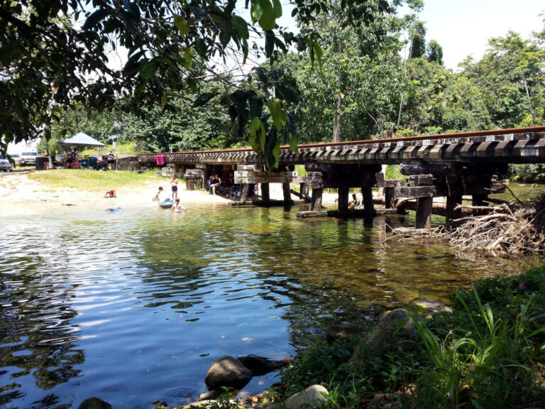 Harvey Creek Bellenden Ker QLD 768x576
