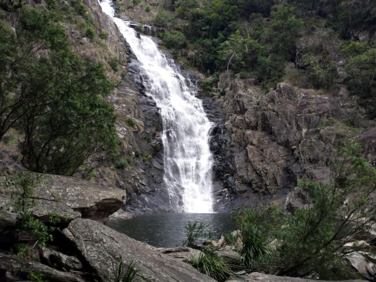 Spring Creek Falls Swimming Hole Port Douglas 01 768x576