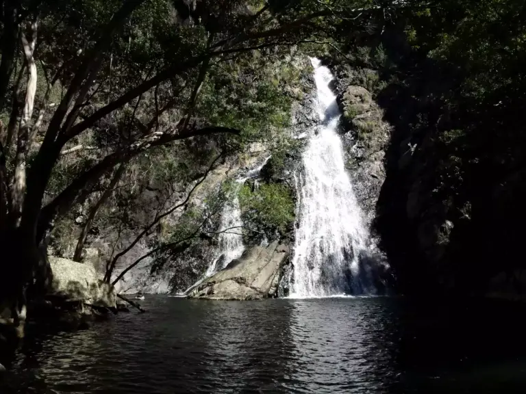 Hartleys Creek Falls Swimming Hole Wangetti QLD 768x576