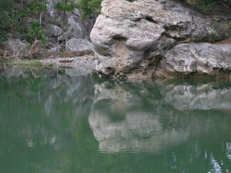 Rock Pool Canarvon Gorge