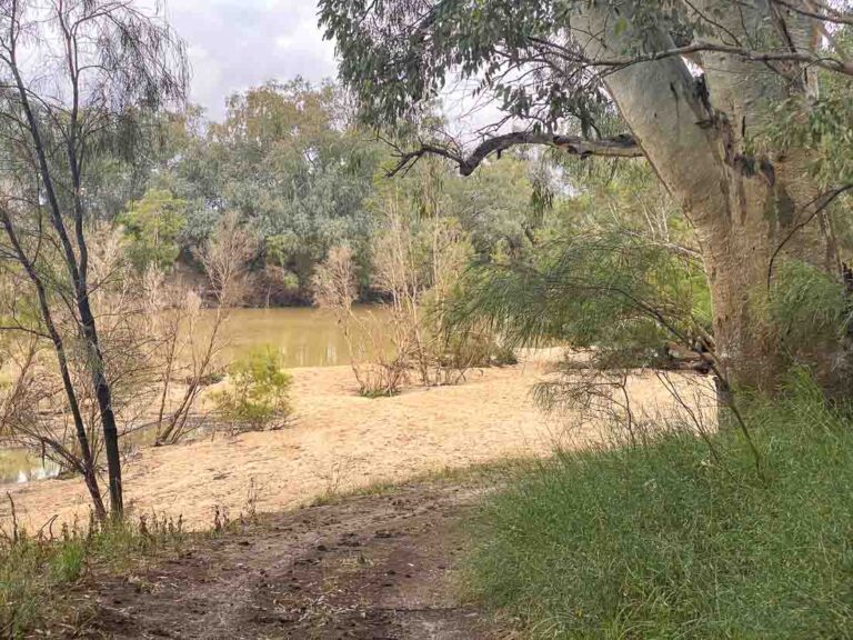 The Beach Wyandra QLD 768x576