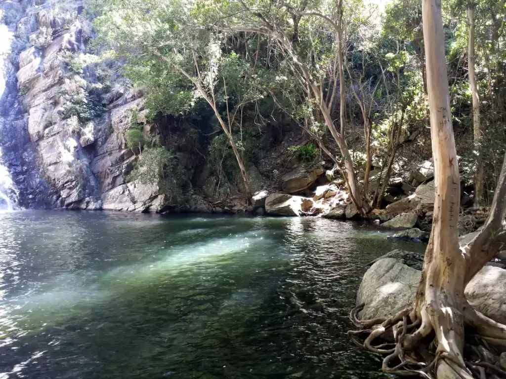 Hartleys Creek Falls Swimming Hole Wangetti QLD 01 1024x768