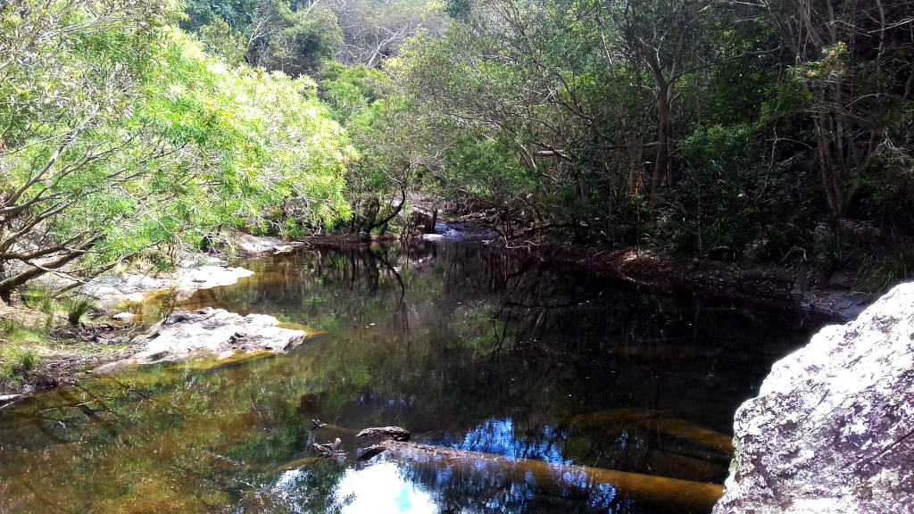 Big Mowbray Falls Swimming Hole, Mowbray, QLD, AU Big Mowbray Falls Swimming Hole, Mowbray, QLD, AU