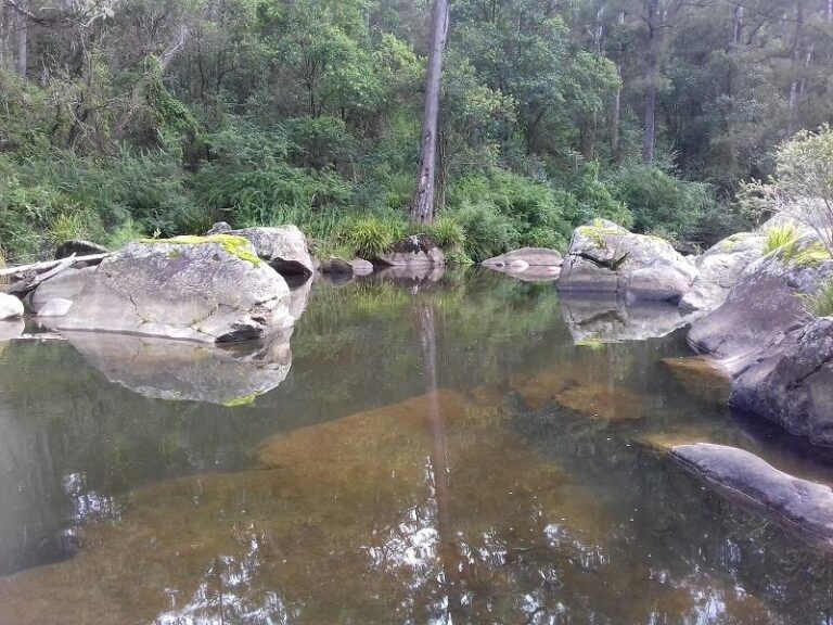 blicks river dundurrabin new south wales 768x576